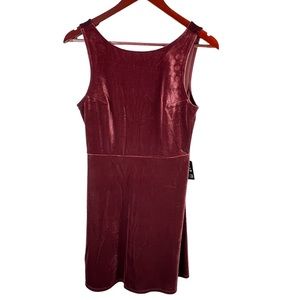 NWT Express Velvet Fit and Flare Dress